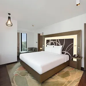 https://ocean-the-near-delhi-airport.hotelsdelhi.org